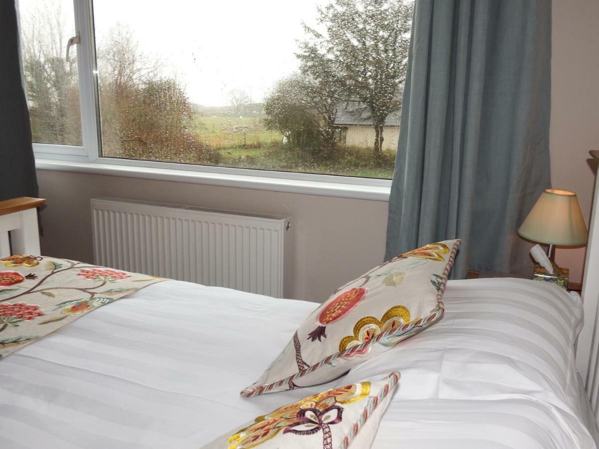Ty Helyg Bed and Breakfast St. Davids  Buitenkant foto